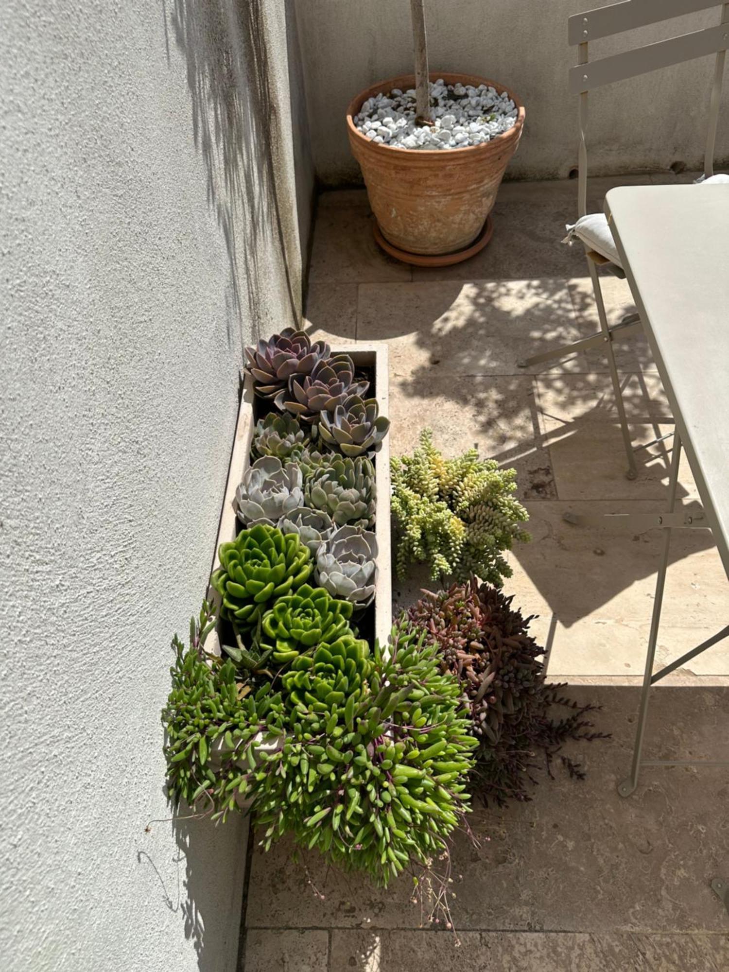 Appartements 3 Etoiles Terrasse Ou Patio Intra-Muros Aigues-Mortes Luaran gambar